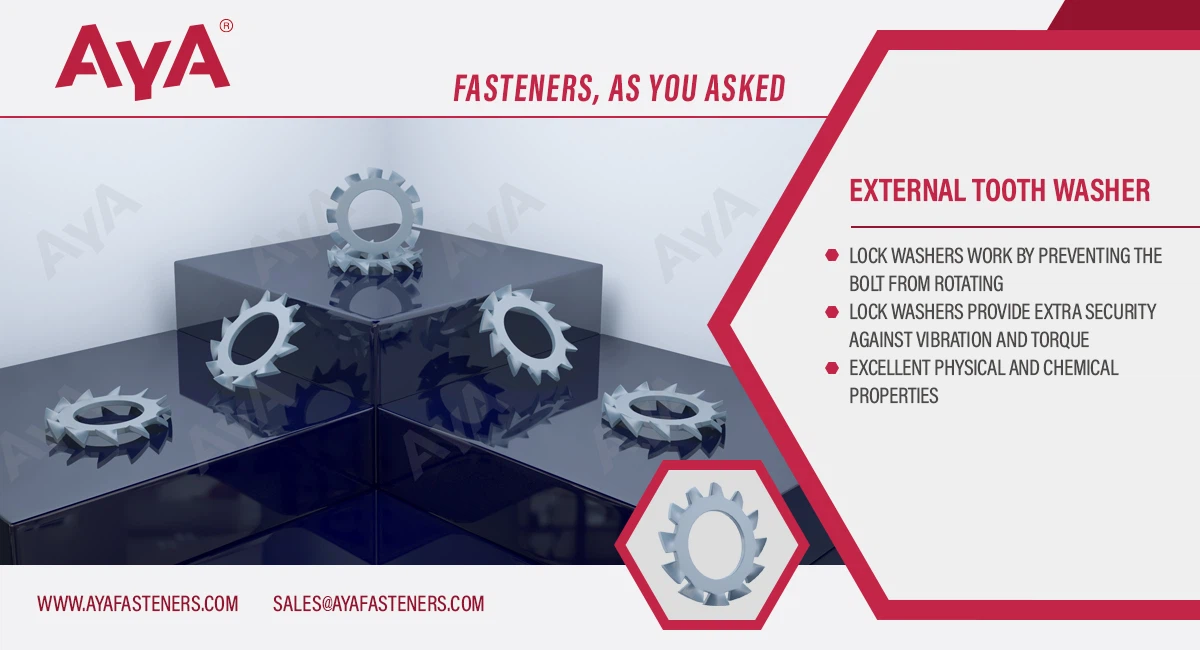 External Tooth Washer advantage